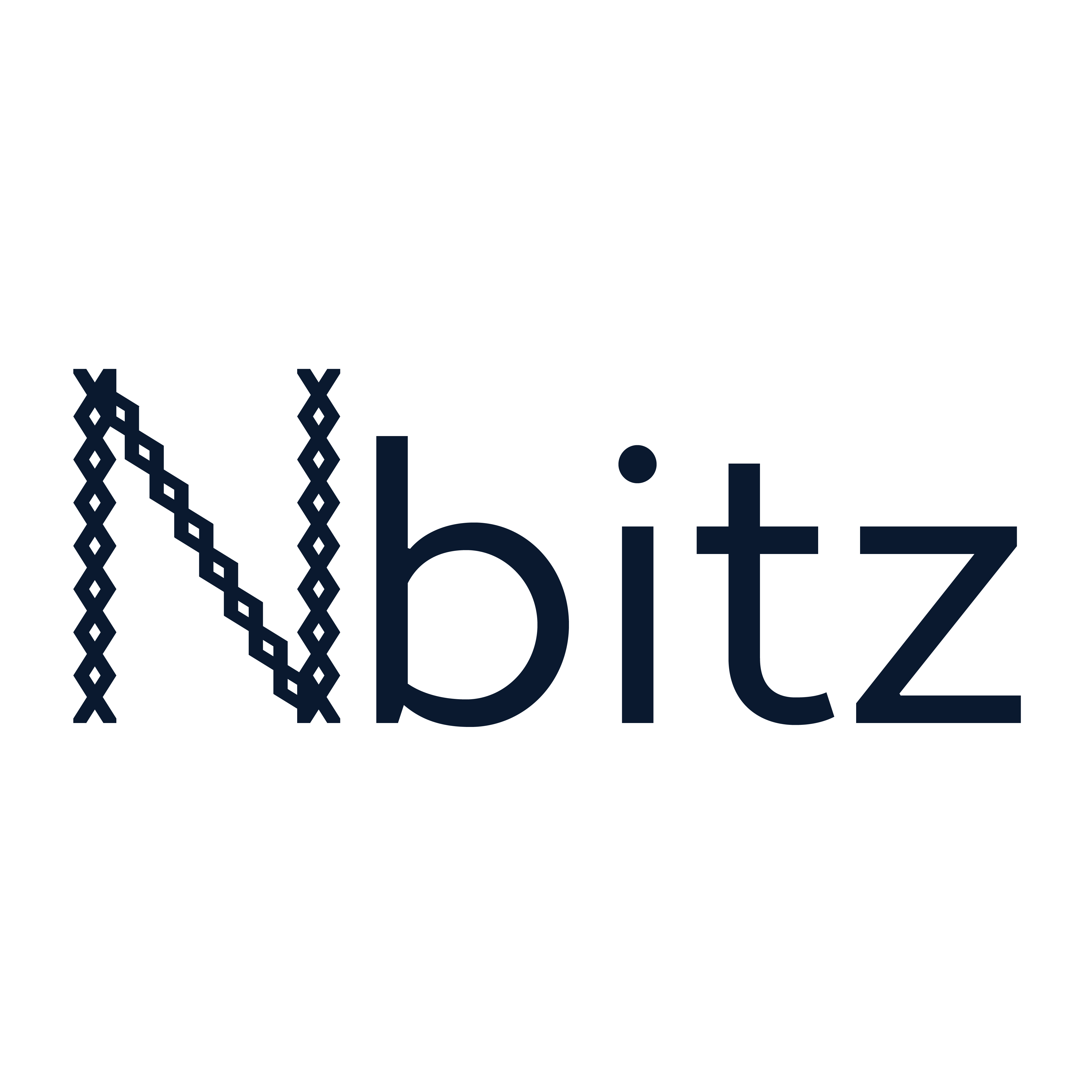Nbitz Logo